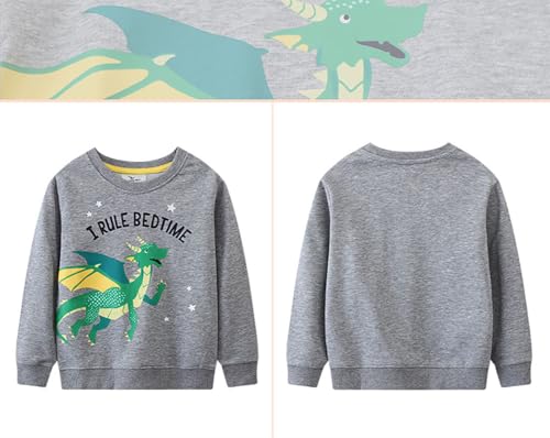 Boys Sweatshirts Casual Sweatshirts Cotton Sweatshirts Long Sleeve T-shirts Crew Neck Cartoon Tops for Boys-7294