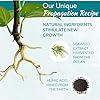 Houseplant Prop Drops - Propagation Promoter & Root Growth Hormone | Root Stimulator for Cuttings | Supports Stronger, Healthier Plants | Easy-to-Use Liquid Formula for Water & Soil Propagation | 8oz #1