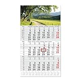 Timr 3-Monatskalender 2026 Jahresübersicht - 53 cm - International mehrsprachig D/GB/F/I/E/NL - Wandkalender mit Schieber - Motiv Wanderweg I tr351