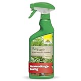 Neudorff BioKraft Vitalkur für Kräuter AF – Anwendungsfertiges Spray fördert die optimale Ernährung und vitalisiert schädlings- und krankheitsanfällige Kräuter, 500 ml