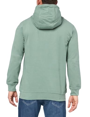 Helly-Hansen Men's Hh Logo Hoodie2
