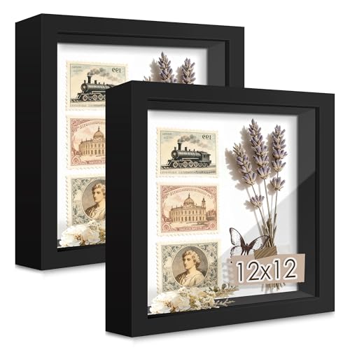 Picrit 12x12 Black Wooden Shadow Box Frame Tempered Glass 2 Pack