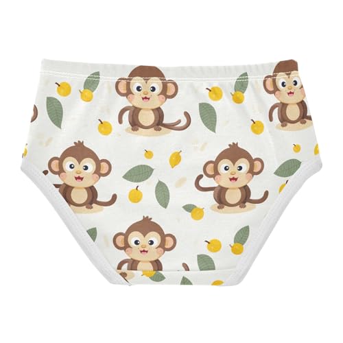 Cute Monkey Toddler Girls's Underwear 2T 202b30912