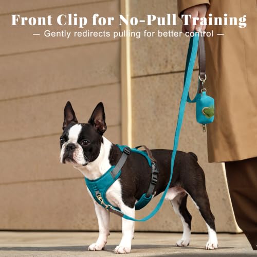 Image of Didog No Pull Dog Harness for Small Dogs, Classic PU Leather, Light Blue, S