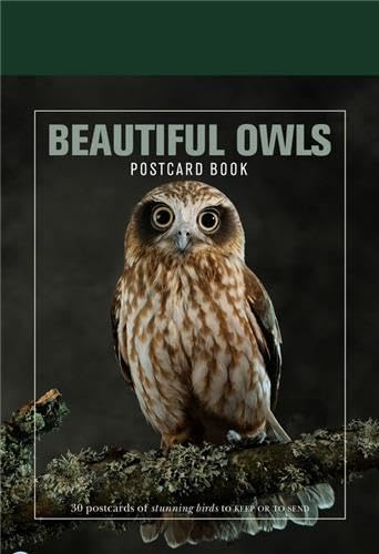 Beautiful Owls Postcard Book: 30 Postcards of Stunning Birds to Keep or Send