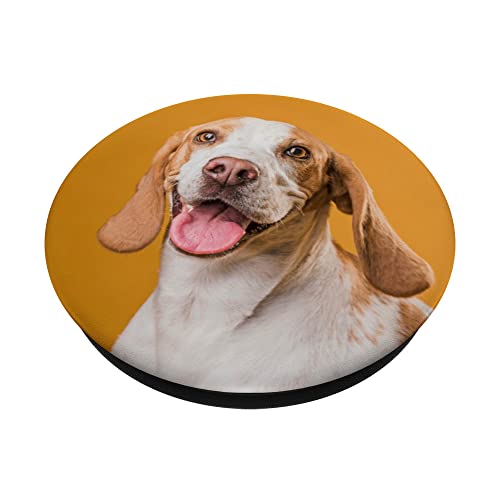 Beagle Happy Dog Cute Image Fun Photo Dog PopSockets Swappable PopGrip, Black - Image 2
