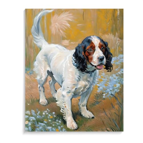 DIY Paint by Number for Adults Beginner Springer Spaniel Dog Paint by Number on Canvas DIY Oil Painting for Gift Home Wall Decor 12x16inch(30x40cm) Frameless