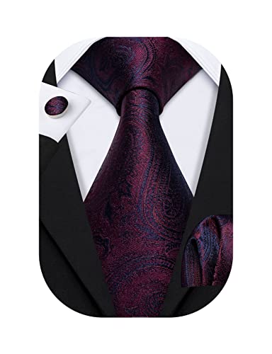 Image of Barry.Wang Paisley Tie Fashion Set Hanky Cufflinks Neckties for Men Woven Silk