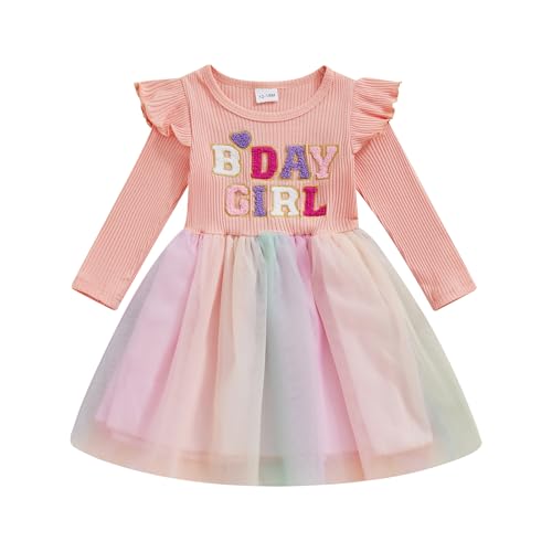 Matching Sister Outfits Girl and Baby Birthday Gril Print Ribbed Ruffle Sleeve Top with Tulle Dress/Baby Romper Dress (Pink, 12-18 Months)