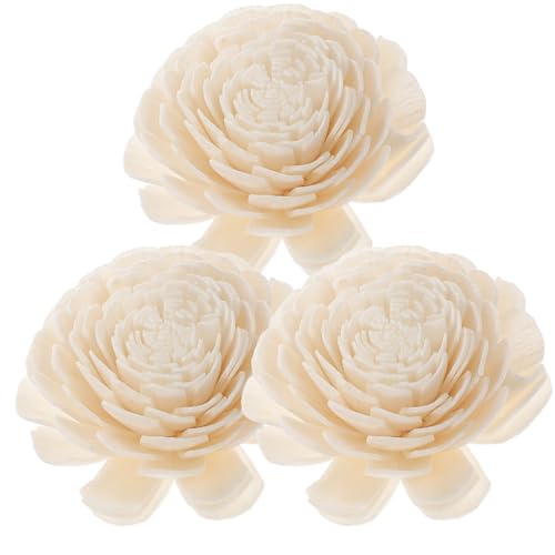 Accesorio Aromaterapia Flores Secas Decoración Hogar