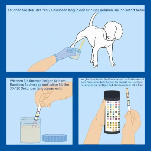 Anseom 100 Stück Urin Teststreifen, Haustier Ketose Teststreifen für 10 Indikatoren, Schnelltest Urinanalysestreifen, Reagenzstreifen Haushalt für Katzen und Hunde