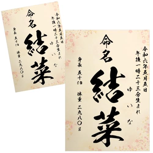  畿 ѕM Ƃ̑ccɂ AV[gt I[_[  j̎qp ̎qp  A4 ~l[g N ̏d g ڏȗ (2Zbg)