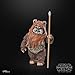 STAR WARS The Black Series Wicket, Return of The Jedi 40th Anniversary 6-Inch Collectible Action Figures, Ages 4 and Up