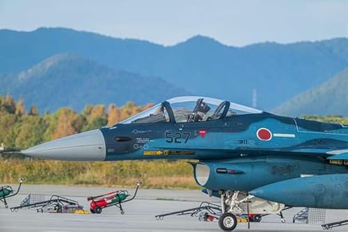 y{̕i|XgJ[hz  z q󎩉q nF16 ͂ tHgJ[hyY photo by daikegoro