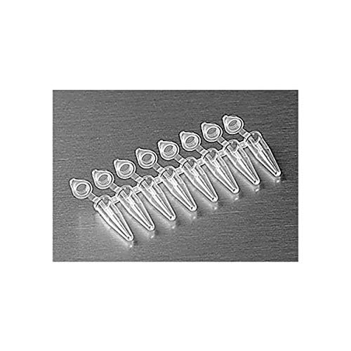 Top 10 Axygen Pcr Lab Tubes Updated Oct 21 Business Industry Science Best Reviews Tips Uk Top 10 Axygen Pcr Lab Tubes Updated Oct 21 Business Industry Science Best Reviews Tips Uk