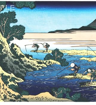 Amazon.co.jp: 額装 葛飾北斎 木版画 千絵の海（ちえのうみ） 蚊針流