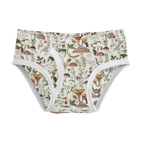 Boys' Exclusive Briefs Toddler Underwear 95% Combed Cotton Boxerbriefs 2T Mushroom Pattern 30