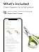 Pet Nail Clippers for Indoor Cats & Small Animals - Precision Angled Blades & Steady Grip - Ideal for Kittens Tiny Dogs Rabbits Birds - Nail Trimmer & Claw Scissors for Home Grooming - eBook Guide