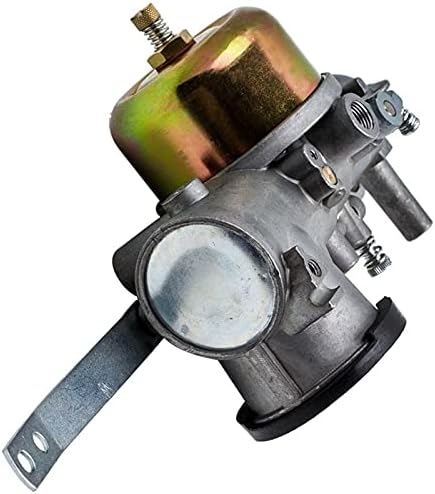 YAEGER Carburetor Carb with Gaskets Replacements 252702 252707 253702 253706 393410 for Briggs & for Stratton