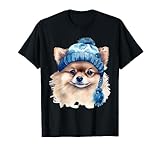 Photo Gallery pomeranian pom pom in blu inverno cappello carino maglietta Photo Gallery pomeranian pom pom in blu inverno cappello carino maglietta
