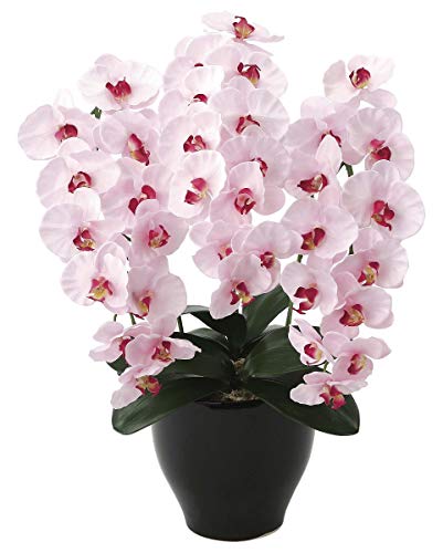  ӒwVeBX^C-t@mxG}(C)A[gt[ A (Premium3{FCgp[v)