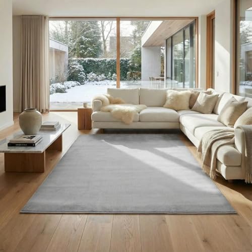 Jimri Tapis Moelleux à Poils Courts de qualité supérieure pour la Maison, Le Bureau, la Cuisine, l'entrée, Le Couloir, Le Salon - Lavable en Machine -...