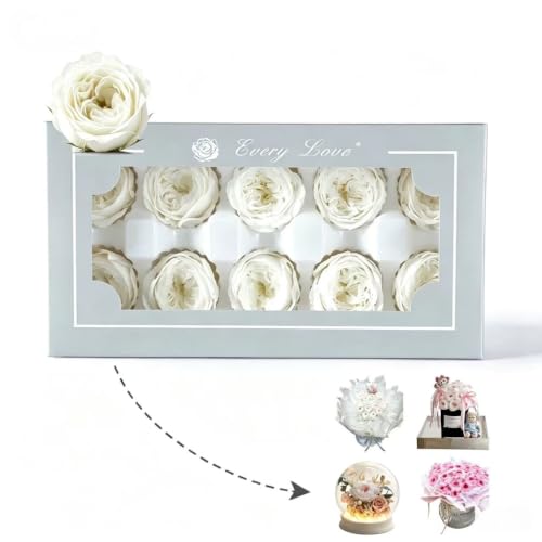Cabezas de Rosa Austin preservadas 10 piezas por caja miniatura 1