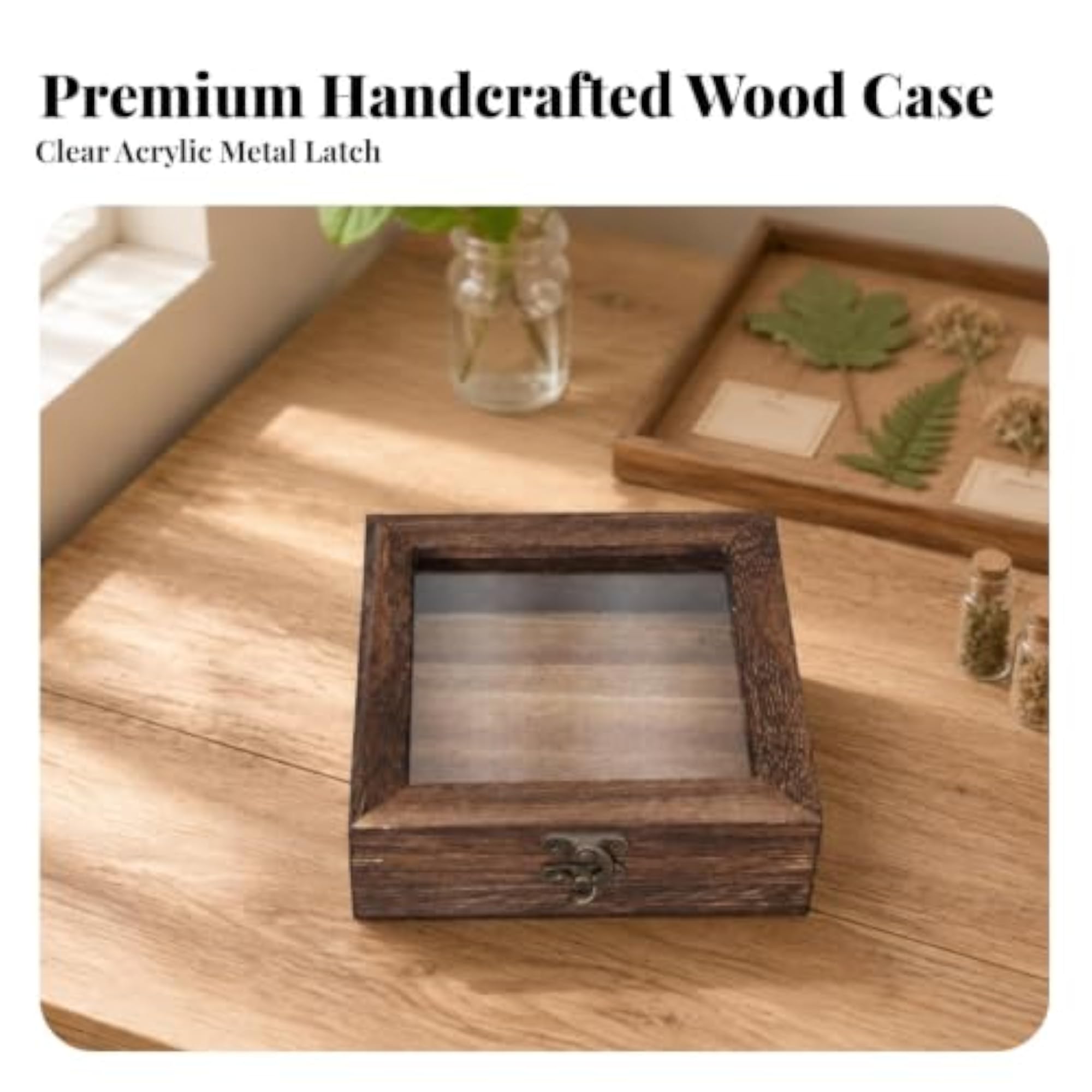 Rectangular Display Case with Clear Top