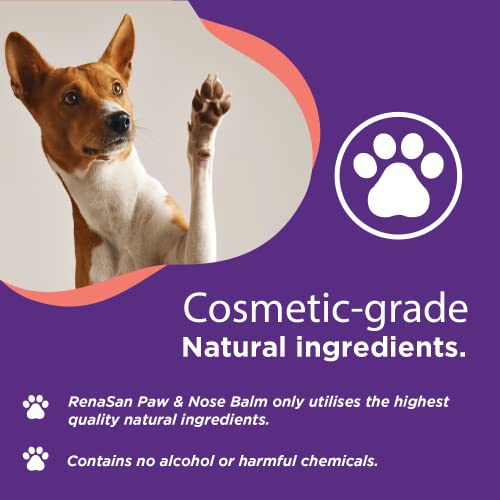 RenaSan Paw & Nose Balm for Dogs and Cats - Natural Moisturising Protection for Dry Paws and Noses Helps Soothe and Condition (50ml) - Image 3
