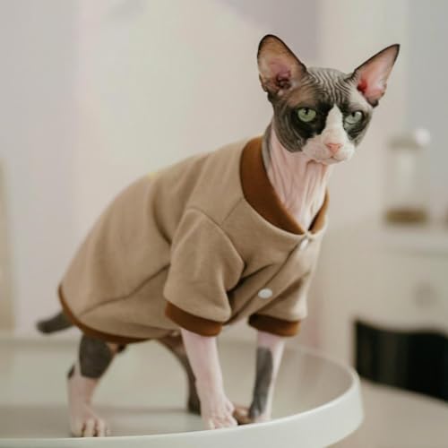 Sweatshirt pour chat Sphynx pull chaud chaton sans poils hiver