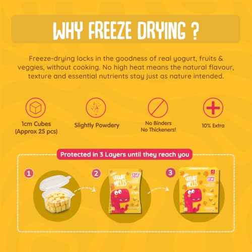 Image of Rorosaur Baby Snacks - Melts with Yogurt and Fruit & Veggie for 7+ Months | 4 packs of Mango Melts | Finger Food for Toddlers | No Sugars, No Preservatives, No Binders | 5g each