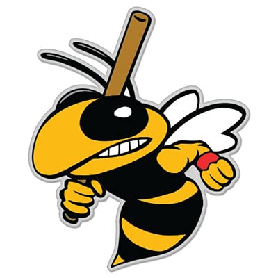 Baseball Bee Wasp Hornet Bumble Bee Sticker, 3 in | For Water Bottle, Tumbler, Car, Laptop, Phone, Waterproof Vinyl Decal