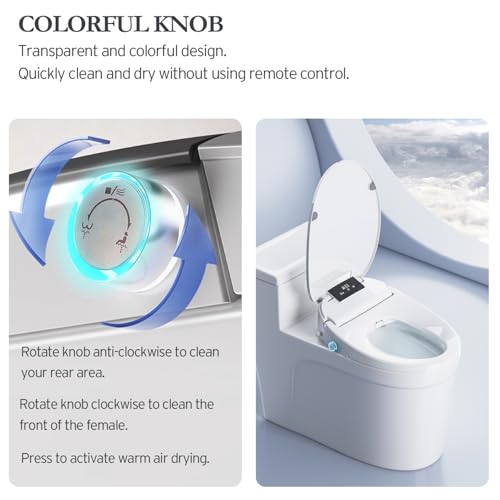 Electric Bidet Toilet Seat Elongated, Heated Toilet Seat, Instant Warm Water, Warm Air Dryer, Rear Feminine and Oscillating Washing, Wireless Remote, Night Light, Slow Close Lid, LED Display