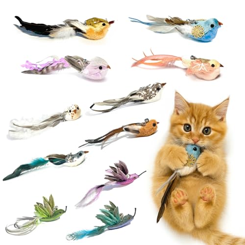 ZAYLUMO 11PCS Realistic Bird Cat Toy Refills – Handmade Feather Cat Toys with Bell, Clip-on Cat Wand Attachments – Interactive Cat Toys for Indoor Cats, Refill Set for Wand Toy or Cute Home Décor