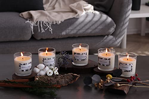 Aronica Pure Candle, Black Cherry Scent, 7.05Oz / 200G, Relaxation Candles For Women, Kitchen Decor, Organic Non Toxic Jar Candles, Extra Strong #TOP6