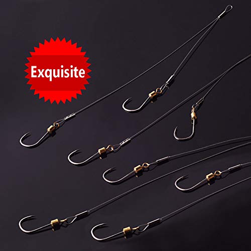 Dyxssm Fishing Hook Rigs Stainless Steel, Fishing Rig Wire Line Leader (Type-B: 2 Hook Rig, 16#) #TOP2