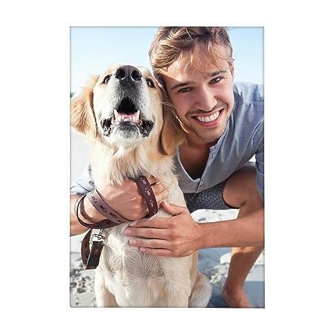 Malden International Designs White Concept Wood Picture Frame, 5x7, White Cover