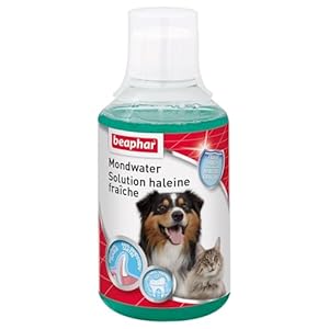 Beaphar – Solution haleine fraîche – Favorise la Bonne santé bucco-Dentaire du Chien et du Chat sans brossage ni rinçage – Élimine la Plaque Dentaire – Empêche la Formation de tartre – 250 ML