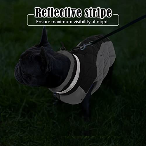 Hjumarayan Hundemantel für Kleine Mittelgroße Grosse Hunde, Hundejacke Warme Hundeweste Wintermantel Hund Wasserdicht Hunde Mantel Gefüttert, Hundemantel Französische Bulldogge (Schwarz M)