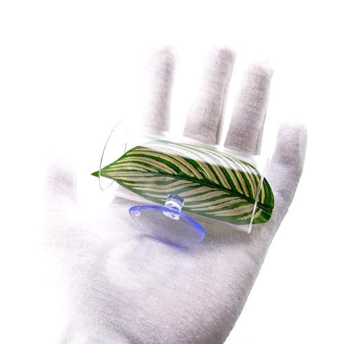 Vignette produit