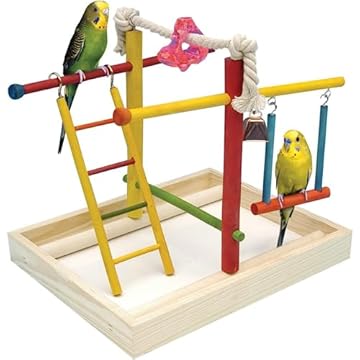 Bird Toy for Green Cheek Conure: 5 Surprising Picks You Need to See 2 bird toy for green cheek conure