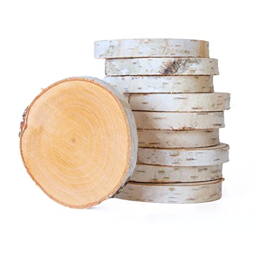 Birkenscheiben rund Ø 10-15cm, Baumscheiben aus Birkenholz, Holzscheibe unbehandelt mit Rinde für DIY Handwerk, Basteln, Holzdeko Hochzeit, Tischschilder, Untersetzer (10 Stk.) Cover