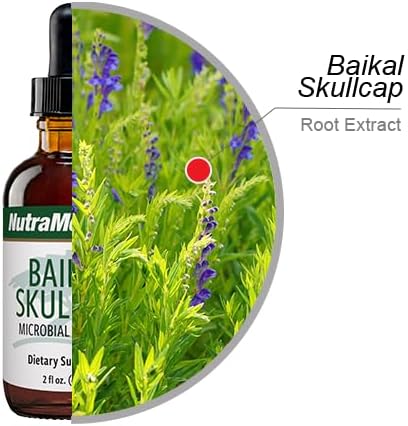 NutraMedix Baikal Skullcap Tincture - Daily Skullcap Supplement for Heart Health + Immune Support - May Promote a Wide Range of Microbial Support (2 oz) - Image 3