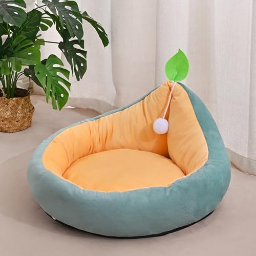 [JUI3N] �L �x�b�h �I�[���V�[�Y�� �􂦂� �ӂ�ӂ� �y�b�g�x�b�h �C���e���A �k�� �~�p ������� �y�b�g�p �N�b�V���� �\�t�@�[ �����^�� ���^�� 50cm �y�b�g�p�i ���� �t �� �H �~ �ʋC�� ����~�� �ӂ��� �g���� ���p�x�b�h �O