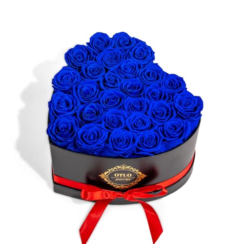 Otuo 27 Preserved Roses in Heart-Shaped Box Flowers for Delivery Prime Last up 2 Years Real Forever Flowers for Wife Girlfriend Mother Eternal Roses for Anniversary - Blue