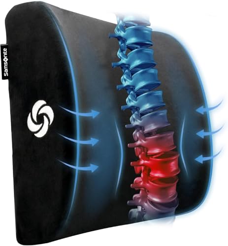 Samsonite Plush Lumbar Support Pillow