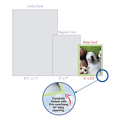 The Best Card Company - 10 Adorable Note Cards Blank (4 x 5.12 Inch) - Wildlife and Animal Cards, Assorted Boxed Set - Animal Selfies M2373OCB-NB - Thumbnail 7