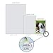 The Best Card Company - 10 Adorable Note Cards Blank (4 x 5.12 Inch) - Wildlife and Animal Cards, Assorted Boxed Kids Set - Animal Selfies M2373OCB-NB