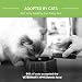 Veterinärmedizin Hpm Virbac Hpm Cat U2Urology STR/Diss/Prev 1,5 kg Virbac 00876 1500 g