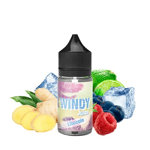 Concentré Libeccio 30ml Windy Juice by e.Tasty